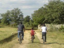 RUTAS EN BICICLETA