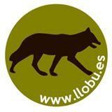 CONOCIENDO EL LOBO