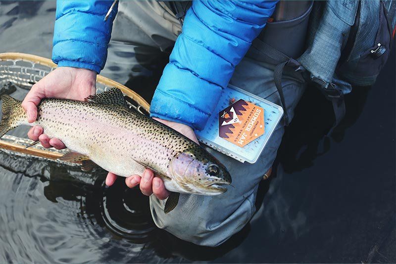 Caza mayor y pesca