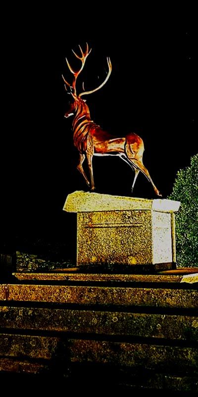 Contactar con Hotel Remesal en La Sierra de la Culebra